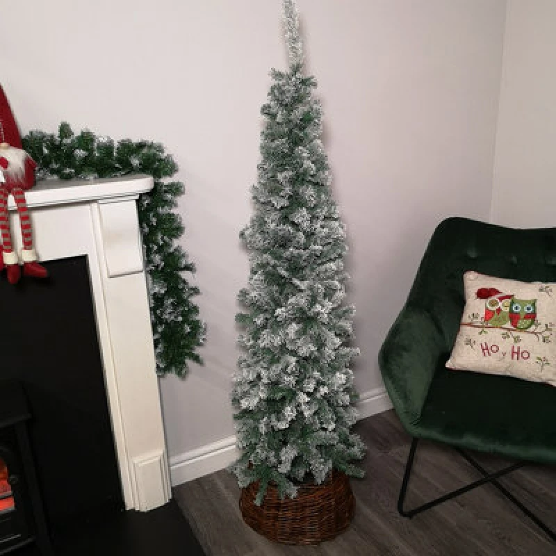 Image of Samuel Alexander 5.5ft (1.7M) Premier Snow Flocked Spruce Pine Slim Christmas Tree In Green