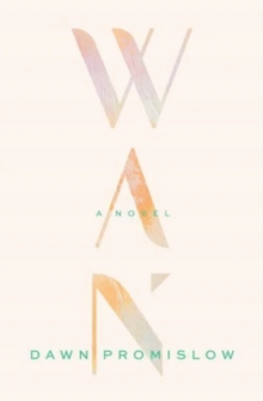 Image of WAN Paperback / softback
