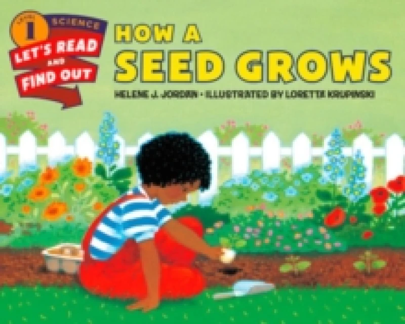 Image of How a Seed Grows Paperback / softback