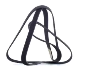 Image of RIDEX V-ribbed belt 305P0109 Serpentine belt,Auxiliary belt MERCEDES-BENZ,MITSUBISHI,E-Klasse Limousine (W211),C-Klasse Limousine (W203)