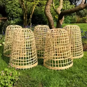 Image of Garden Skill Gardenskill Bamboo Bell Cloche And Garden Plant Protection Cover Medium - Pack Of 5