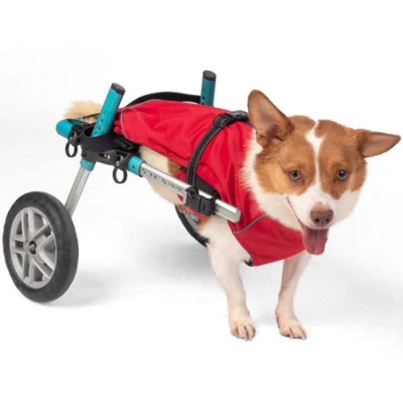 Image of Bunty Downpaw Dog Coat - Adjustable Fleece Lined Jacket With Reflective Piping - Harness Hole - For All Breeds - Small, Red