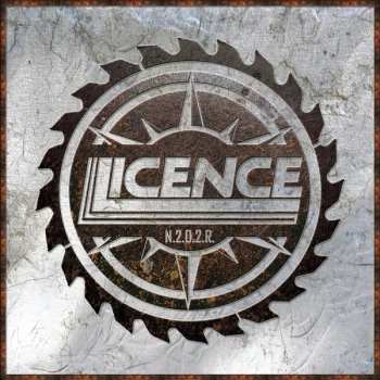 Image of Licence - Never 2 Old 2 Rock Vinyl