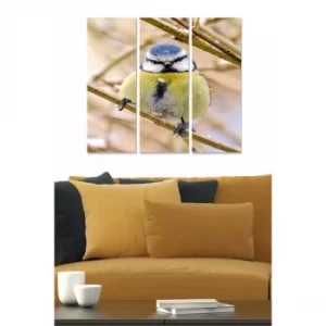 Image of MDF2401559 Multicolor Decorative MDF Painting (3 Pieces)