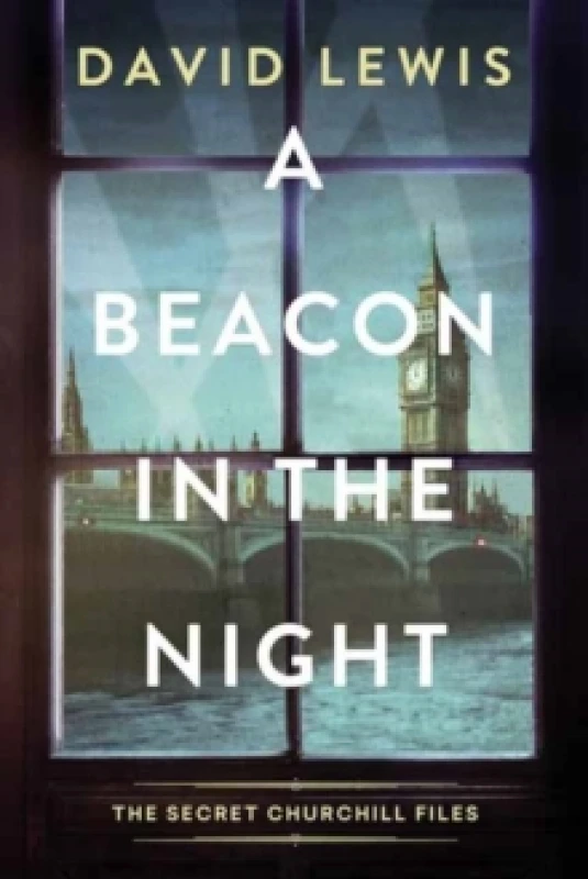 Image of A Beacon in the Night Hardback