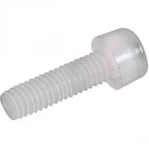 Image of Toolcraft Hexagonal Cylinder Head Screws DIN 912 Polyamide M3 x 10...