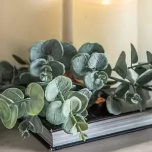 Image of Gallery Interiors Set of 6 Eucalyptus Bush Green