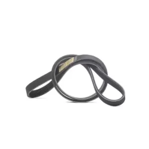Image of RIDEX V-ribbed belt 305P0500 Serpentine belt,Auxiliary belt OPEL,MITSUBISHI,VAUXHALL,Corsa D Schragheck (S07),Corsa C Schragheck (X01),Meriva A (X03)