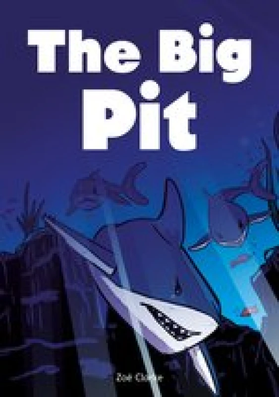 Image of The Big Pit (Set 03) Paperback / softback