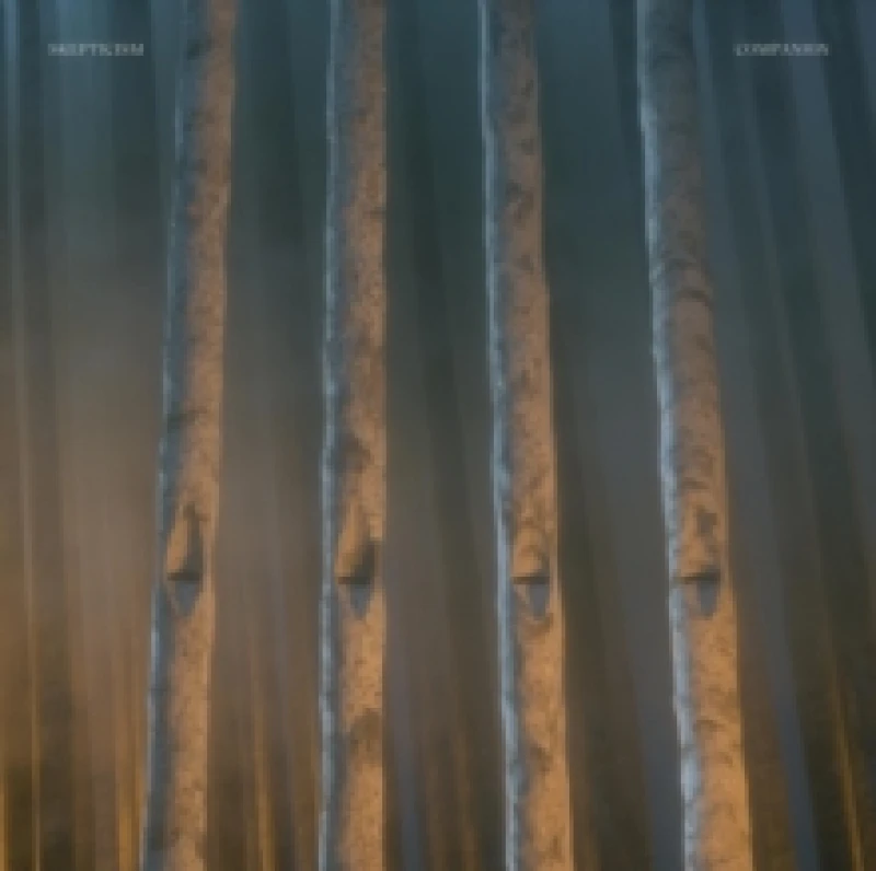 Image of Companion Vinyl