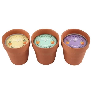 Image of Fragranced Flower Pot Candle Pack Of 12