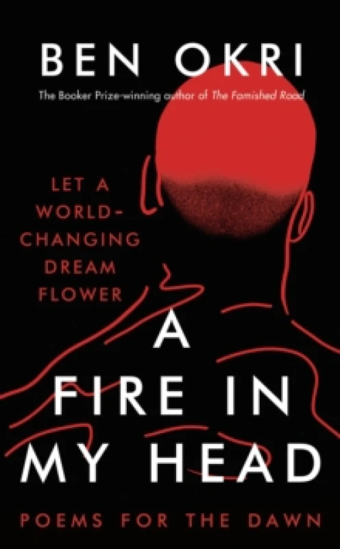 Image of A Fire in My Head Paperback / softback