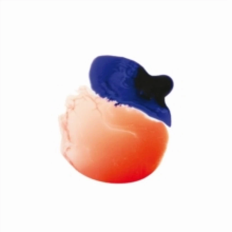 Image of Eidolon CD / Album