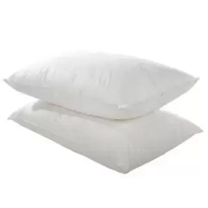 Image of Silentnight Hypoallergenic Pillow, Pack Of 2 White