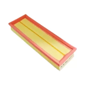 Image of Air Filter ADR162211 by Blue Print