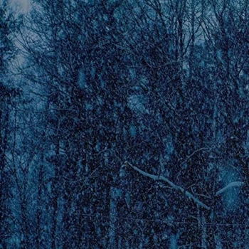 Image of Jesu - Never EP Vinyl