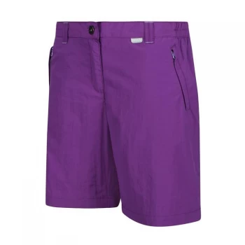 Image of Regatta Chaska II Walking Shorts - Plum Jam