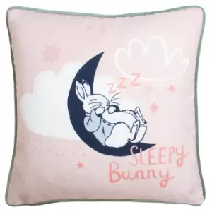 Image of Sleepy Head Peter Rabbit Cushion Pink / 43 x 43cm / Polyester Filled