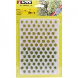 Image of NOCH 7135 Tuft of grass 6mm Blooming