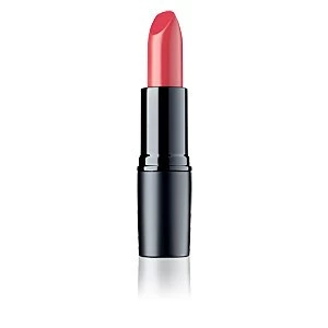 Image of PERFECT MAT lipstick #173-skipper's Love