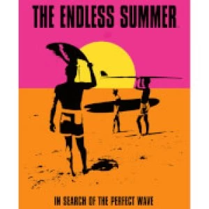 Image of Endless Summer - Limited Dual Format Box Set