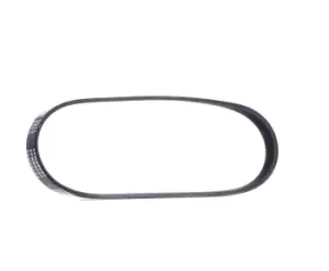 Image of RIDEX V-ribbed belt 305P0117 Serpentine belt,Auxiliary belt FORD,MAZDA,Fiesta Mk5 Schragheck (JH1, JD1, JH3, JD3),MONDEO IV Turnier (BA7),FUSION (JU_)