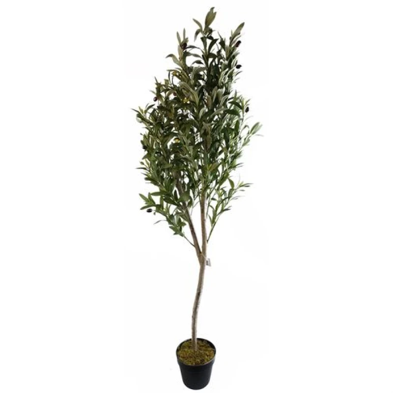 Image of Leaf 180cm Artificial Natural Look Olive Tree with Wooden Trunk
