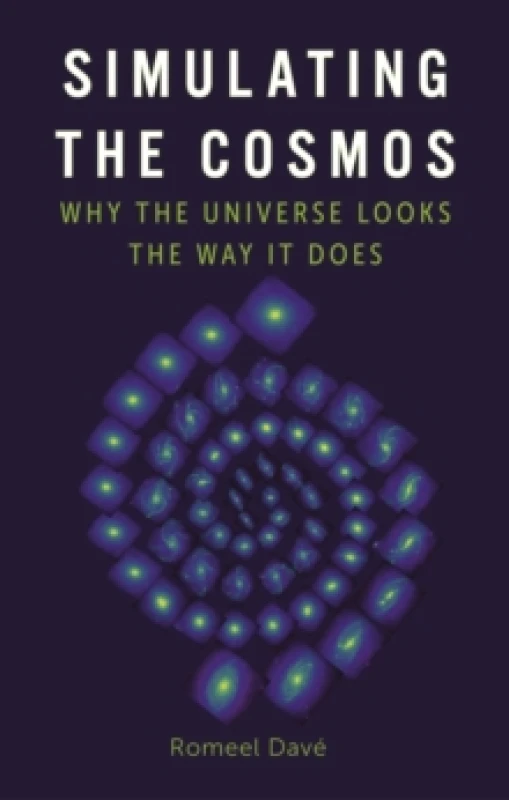 Image of Simulating the Cosmos : Why the Universe Looks the Way It Does Hardback