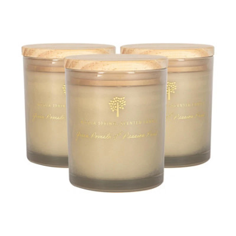 Image of Nicola Spring Scented Candles - 130G - Green Pomelo & Passion Fruit - Pack Of 3 Fruity Fresh Scent Jarred Long Burn Fragrance Set