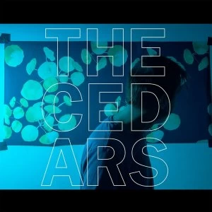 Image of John Vanderslice - The Cedars Vinyl