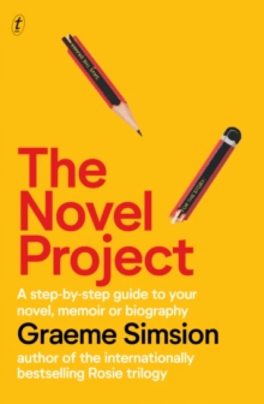 Image of The Novel Project Paperback / softback