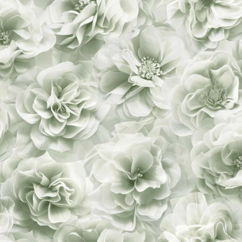 Image of Debona Bloom Sage Green Wallpaper Floral Rose Glamorous Stylish Feature Wall