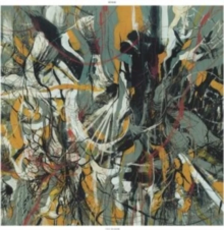 Image of The Healer Vinyl