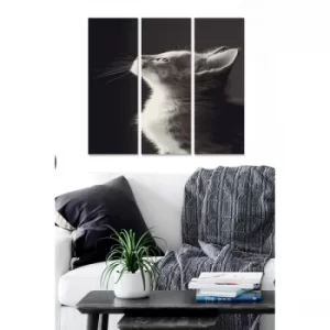 Image of MDF3210439 Multicolor Decorative MDF Painting (3 Pieces)