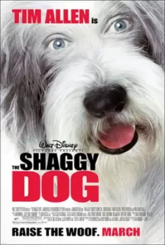 Image of The Shaggy Dog (Ex-Rental) - DVD - Used