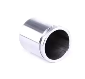 Image of AUTOFREN SEINSA Piston, brake caliper VW,AUDI,RENAULT D02535 LR091302,LR091303,STC1918