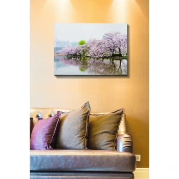 Image of Kanvas Tablo (50 x 70) - 266 Multicolor Decorative Canvas Painting