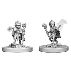 Image of Pathfinder Deep Cuts Unpainted Miniatures (W5) - Gnome Male Druid