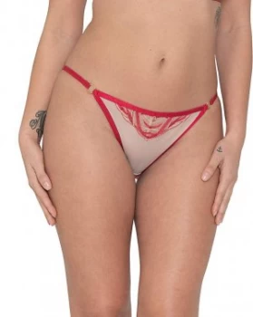 Image of Scantilly Submission Brief