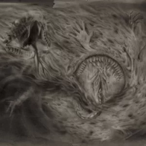 Image of Into the Womb of Dissolving Flames by Nidsang Vinyl Album