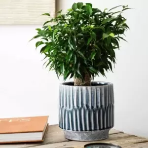 Image of Ivyline Onno Planter Denim - H25Cm X D25Cm