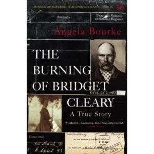 Image of The Burning Of Bridget Cleary : A True Story