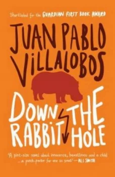 Image of Down the Rabbit Hole by Juan Pablo Villalobos Paperback