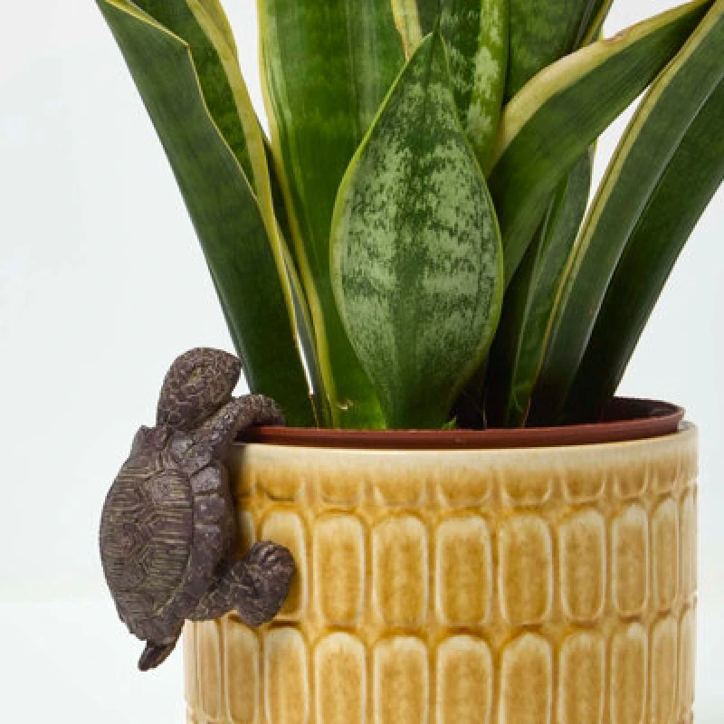Image of Homescapes Tortoise Pot Hanger Decoration