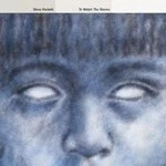 Image of Steve Hackett - To Watch the Storms (Music CD)