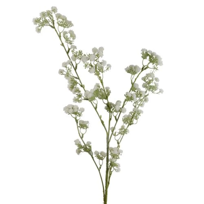 Image of Leaf 85cm Gypsophila White Stem