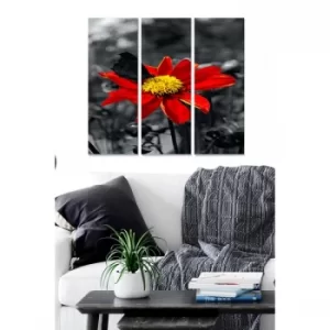 Image of MDF3011397 Multicolor Decorative MDF Painting (3 Pieces)