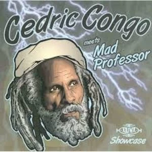 Image of Cedric Congo Meets Mad Professor - Ariwa Dub Showcase Vinyl