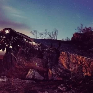 Image of Beneath the Redwoods by Morrison Kincannon CD Album