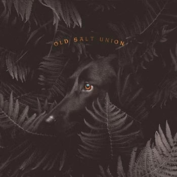 Image of Old Salt Union - Where the Dogs Don't Bite CD